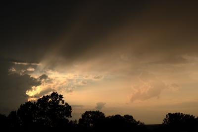 Прикрепленное изображение: DSC_0600_.jpg